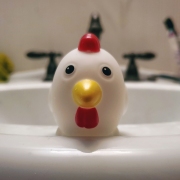 Bathtub Chicken