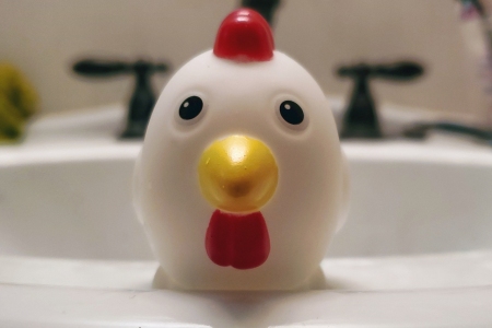 Bathtub Chicken