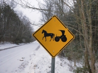 Snow Buggy Crossing