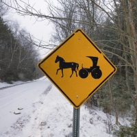 Snow Buggy Crossing