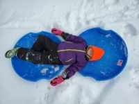 All Aboard the Sled Train!