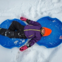 All Aboard the Sled Train!