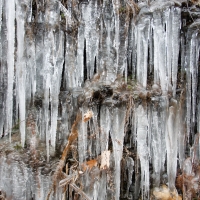 Chilly Day
