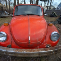 Bright Bug