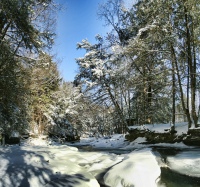 Healing Hike