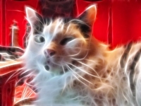 Escher Loves You