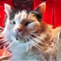 Escher Loves You