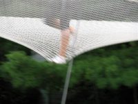 Bounce