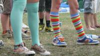 Bisco Socks