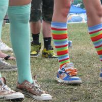 Bisco Socks