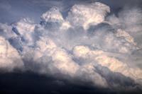Cute Clouds