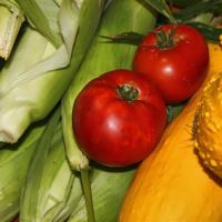 Vegetable Delights