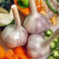 Garlic from Tarbox Farm ME