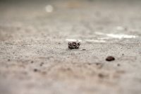 What Are You Looking At