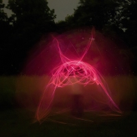 The Night Moth