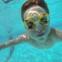 Dive Dive Dive