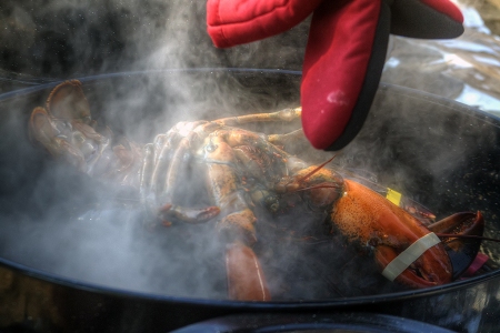 Pot-Lobster