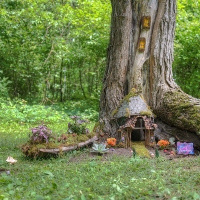 Fairy Sanctuary