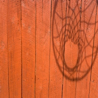 Shadow-