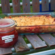 Strawberry Rhubarb Frenzy