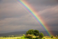 Rainbows End