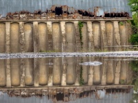 Decay
