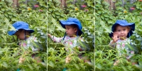 In the Weeds