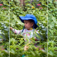 In the Weeds