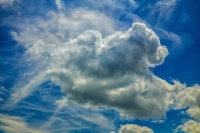 Head In the Cloud