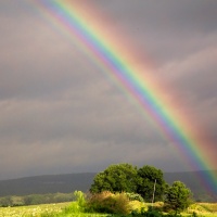 Rainbows-End