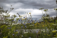 Roadside Attraction