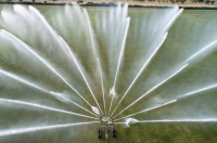 Watering the Garden