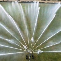 Watering the Garden