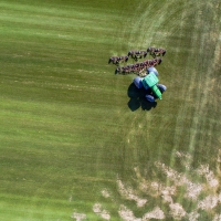 Mowing Donuts
