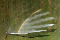 Rainbow Shower