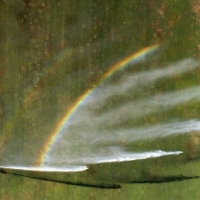 Rainbow Shower