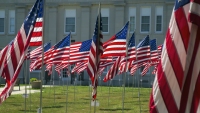 Maybe the Lots of Flags