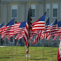Maybe the Lots of Flags
