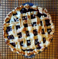 Blueberry Pie