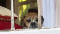 Watching the Watcher