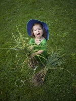 Garlic! Garlic for Sale!