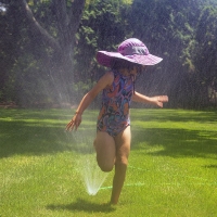 Sunny Day Antics