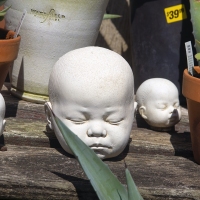 Garden Whimsey