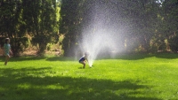 Thar She Blows!