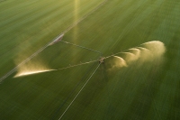Sunset Sprinkle