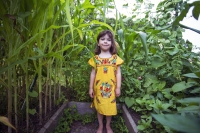 Welcome to the Jungle