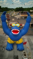 Mr Gorilla
