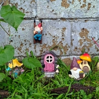 Welcome to the Jungle