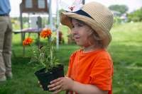 An Orange Day