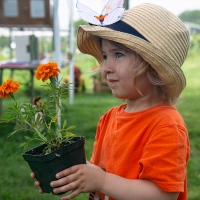 An Orange Day